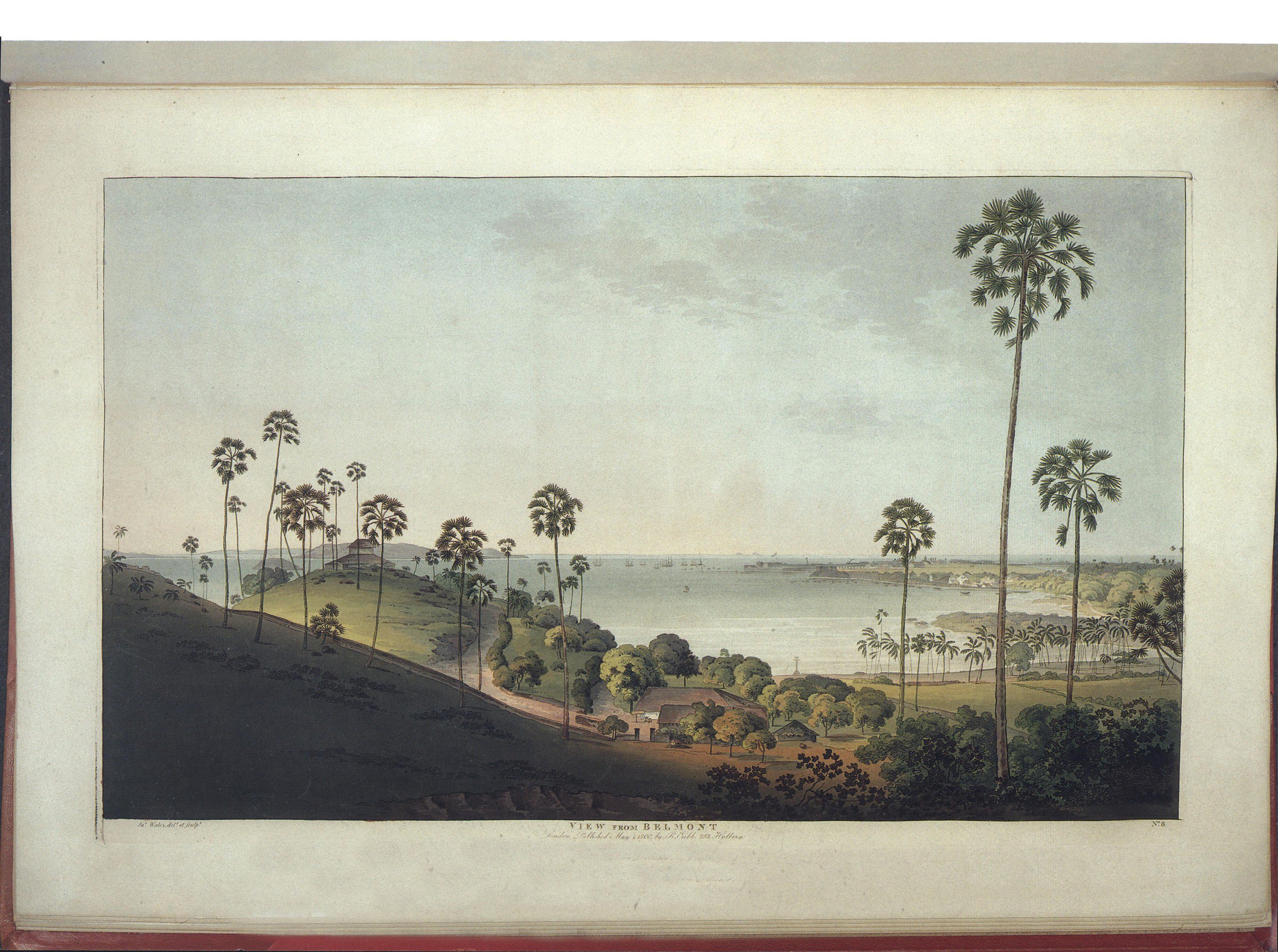 Marches October 30 Image 3.jpg